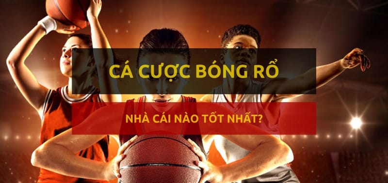 Cá cược bóng rổ uy tín